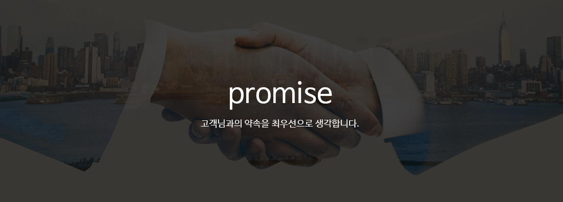 promise